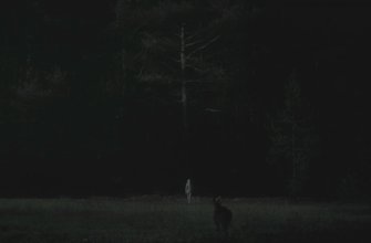 Аня Тейлор Джой